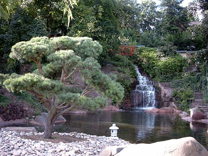Japánkert vízeséssel